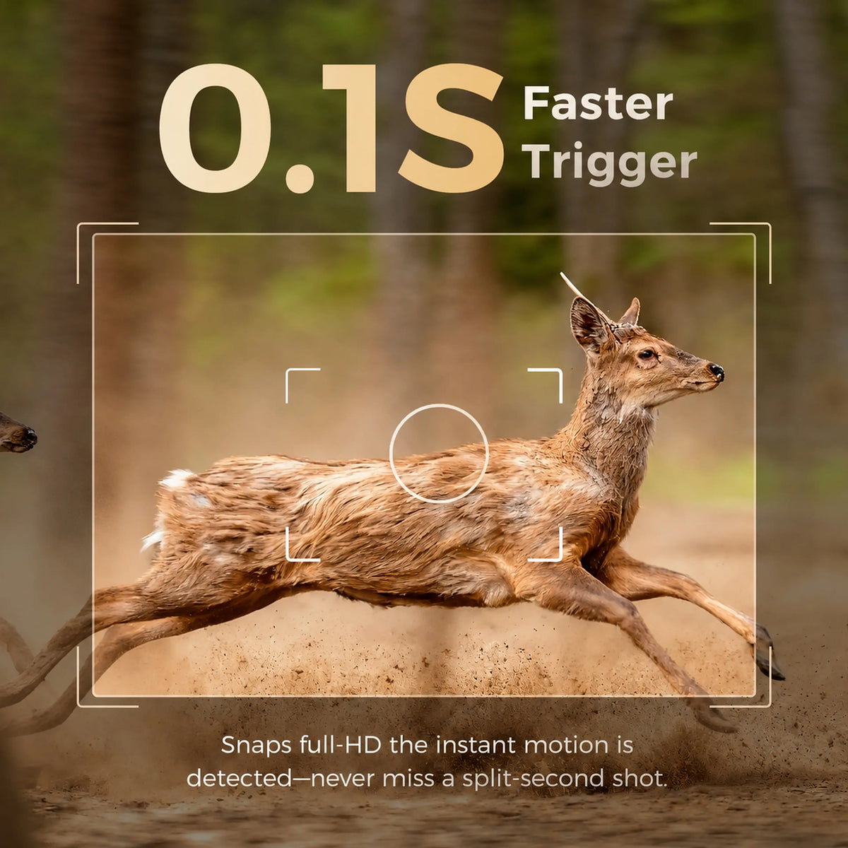 Revolutionary 4G LTE Solar-Powered Hunting Trail Camera with 2K Live Feed and Fast PIR Trigger - Ultimate Wildlife Monitoring Solution!